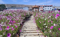 少妇大叫太大太粗太爽了